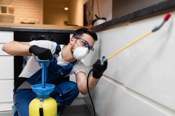 Reliable Slippery Rock, PA Pest Control Solutions