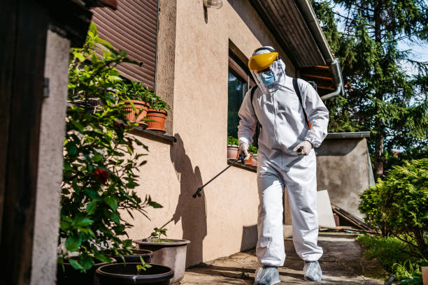 Best Rat Extermination Near Me  in Slippery Rock, PA