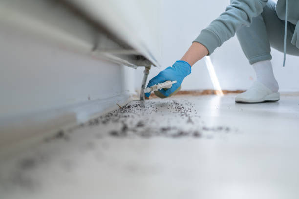 Best Affordable Pest Control Services  in Slippery Rock, PA
